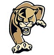 The Athletic Academy Logo opponent